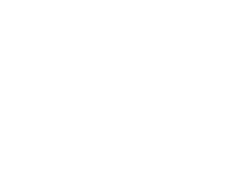 logo promer